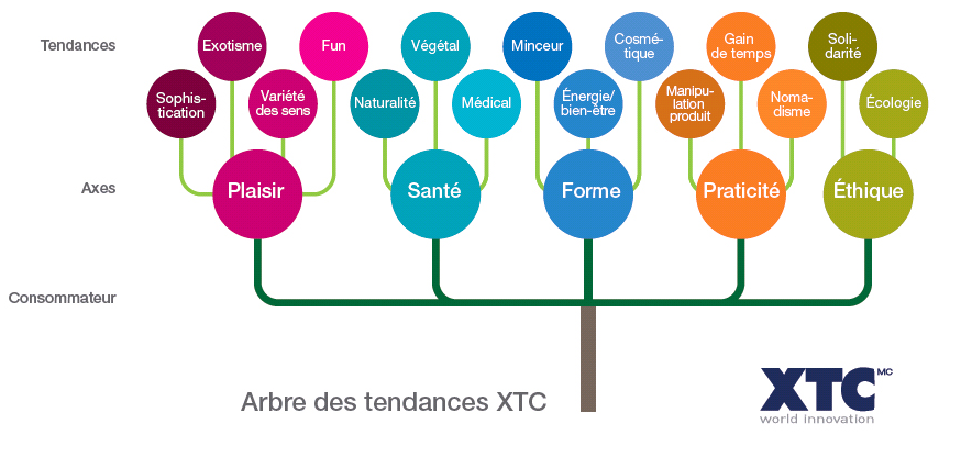 arbre des tendances