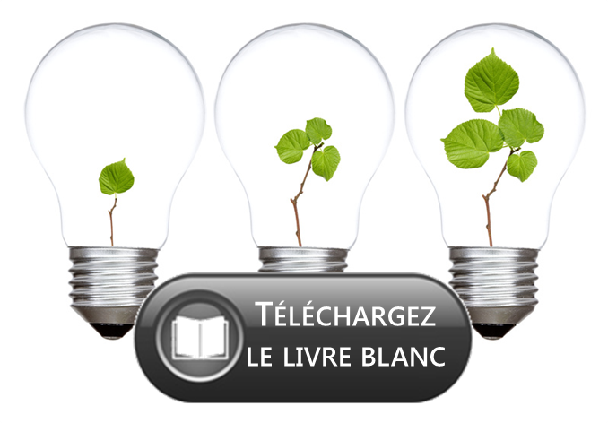 Livre blanc: l'innovation, un levier de croissance au service de la distribution