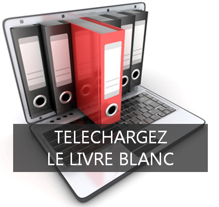 livre blanc PLM/ERP