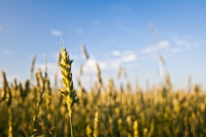 portefeuille produit agroalimentaire