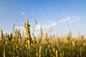 portefeuille produit agroalimentaire